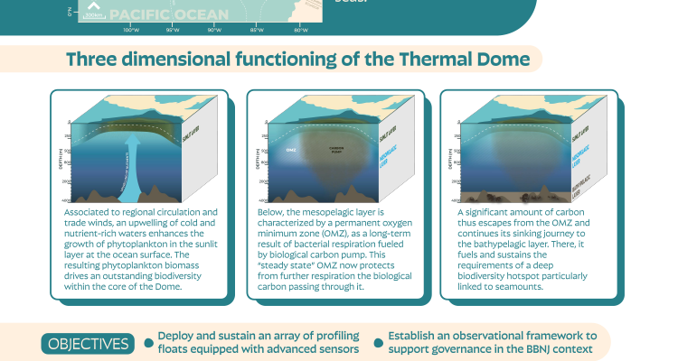 Discover Argo Dome Project