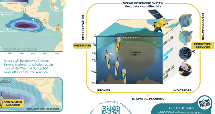 Leaflet that resume argo dome project